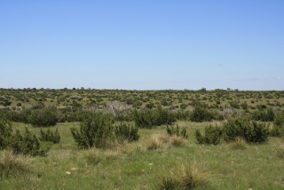 Irion and Tom Green Counties, Texas (3)