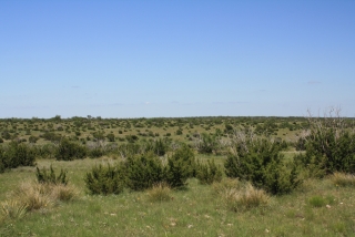 Irion and Tom Green Counties, Texas (4)