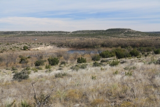 Sterling and Coke Counties, Texas (4)