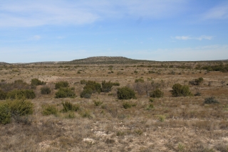 Sterling and Coke Counties, Texas (8)