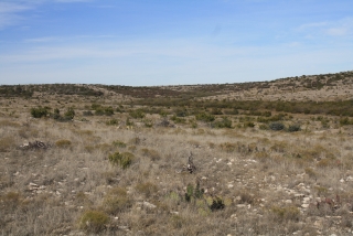 Sterling and Coke Counties, Texas (6)