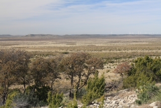 Sterling and Coke Counties, Texas (5)