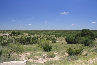 Sterling County, Texas (4)