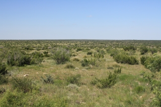 Irion and Tom Green Counties, Texas (2)