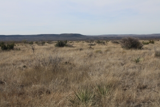 Sterling and Coke Counties, Texas (10)