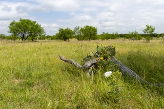 Schleicher County, Texas (15)