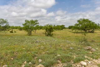 Schleicher County, Texas (16)