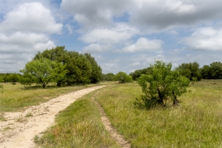 Schleicher County, Texas (17)