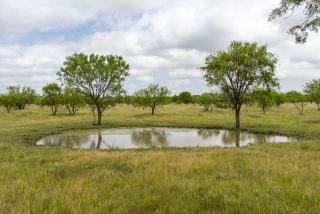 Schleicher County, Texas (18)