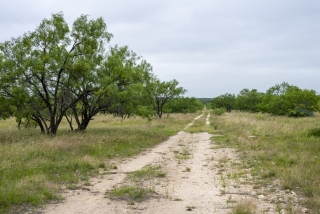 Schleicher County, Texas (19)