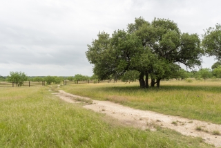 Schleicher County, Texas (20)