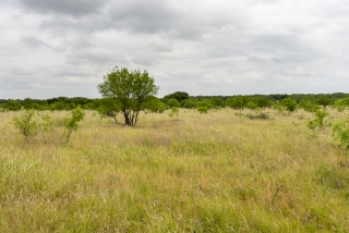 Schleicher County, Texas (22)