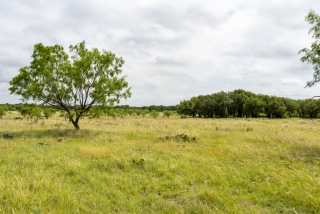 Schleicher County, Texas (23)