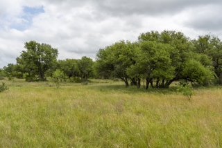 Schleicher County, Texas (9)