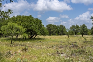 Schleicher County, Texas (10)