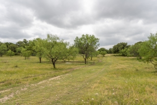 Schleicher County, Texas (27)