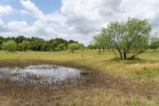 Schleicher County, Texas (30)