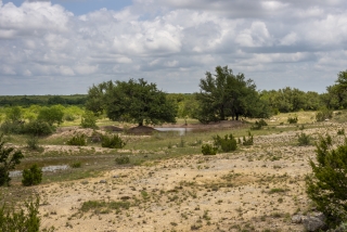 Schleicher County, Texas (31)