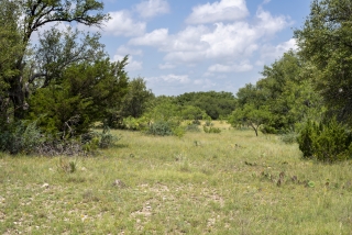 Schleicher County, Texas (34)