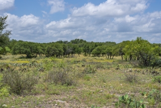 Schleicher County, Texas (13)