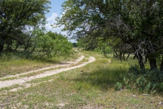 Schleicher County, Texas (35)