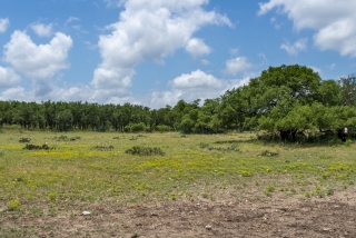 Schleicher County, Texas (37)