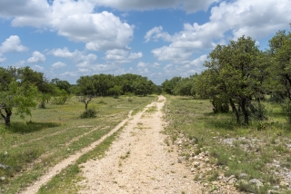 Schleicher County, Texas (38)