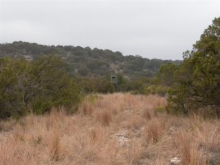 Crockett County, Texas (5)