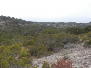 Crockett County, Texas (6)