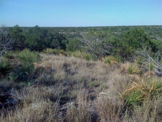 Crockett and Sutton Counties, Texas (2)
