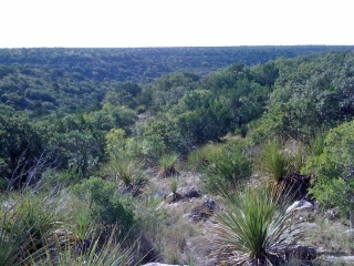 Crockett and Sutton Counties, Texas (5)